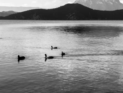 SlotoCash Kaszinó Mobilalkalmazás